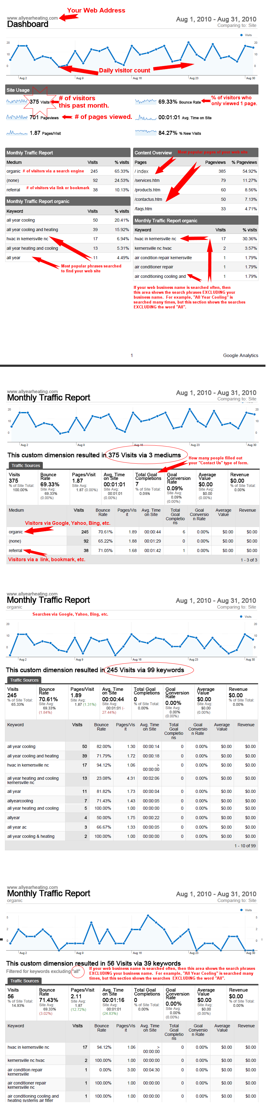 Google Analytics Screen Shot