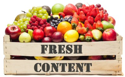 Fresh Content 2024 image