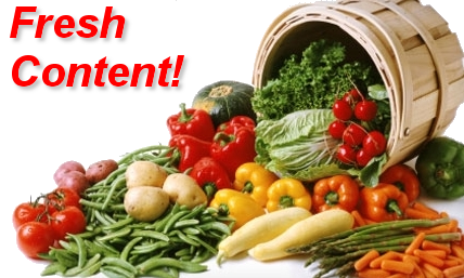 Fresh Content 2024 image