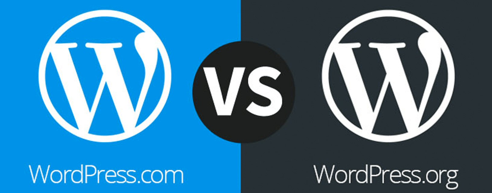WordPress image