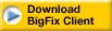 Download Bigfix